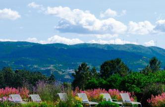 Lavandeira Douro Nature & Wellness - Foto 112