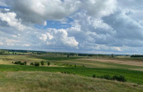 Ozierański Eden "Pod rzeźbami" - Photo 40