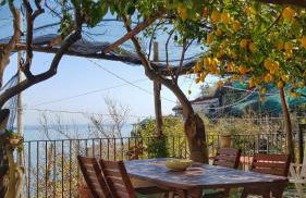 Il Limoneto degli Angeli - Foto 22