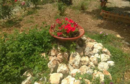 Diogenis Residence Euphoria - Foto 65