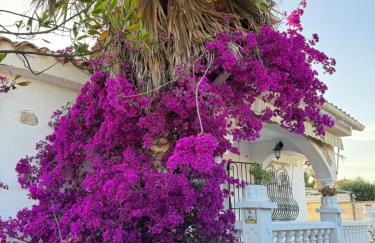 Villa Miami platja - Foto 21