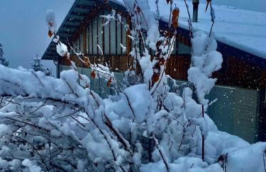 Oberprantschöllhof - Horse Mountain Stable - Foto 39