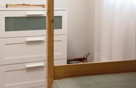 ISALO Villa - Foto 31