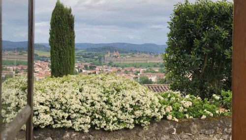 Maison de charme avec vue sur la cité médiévale. - Foto 5
