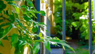 FuoriPorta Affitti Brevi - Residenza Bolzoni Oliva - Foto 4