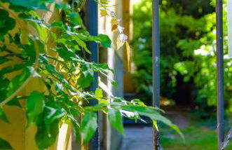 FuoriPorta Affitti Brevi - Residenza Bolzoni Oliva - Foto 4