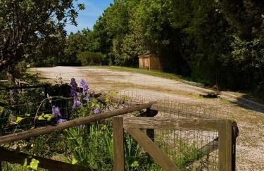 Trilocale con piscina - Foto 28