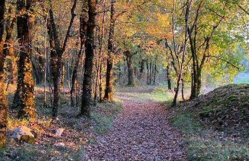 Charmant Chalet LE DAMELI, Village du Soleil, Chalet 61 - Foto 44