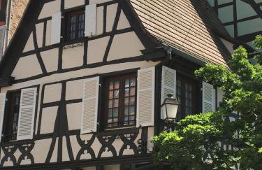 Appartements - La Cour St Fulrad - Foto 36