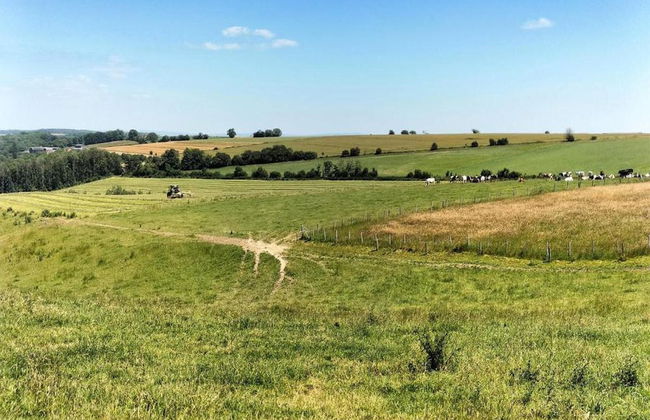 Holiday Home in Somme-leuze With Pool & Sauna - Foto 40