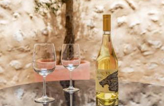 Cas Suis 7 - Foto 26