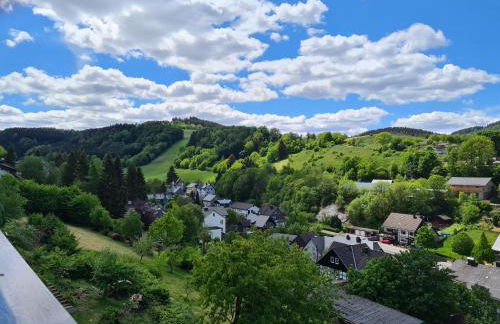 Panoramablick Willingen Schwalefeld - Foto 14