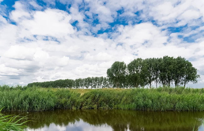 Idyllic Holiday Home in Ooltgensplaat Near Centre - Foto 39