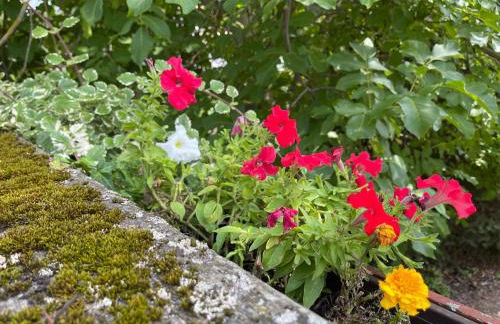 Ferienwohnung mit Sonnenterrasse, Monteursunterkunft, Gästewohnung - Foto 20