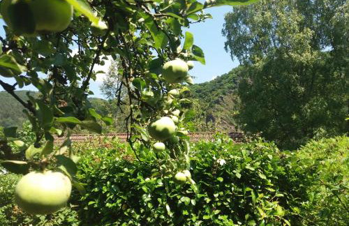 Ferienhaus Baederleiblick - Foto 15