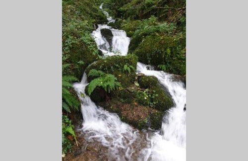 The Eaves in Lynton, Exmoor, Devon - Foto 28