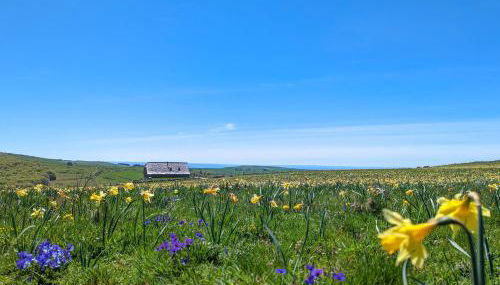 Buron de Léon, en plein cœur de l Aubrac - Photo 5