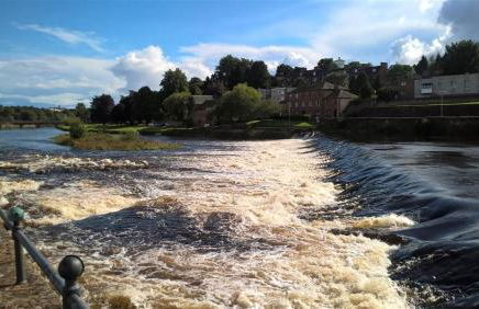 Number 48 - Photo 20