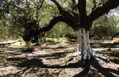 Nikitas Apartment - Foto 11