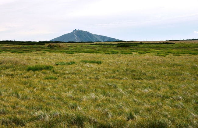 Attractive Apartment in Rokytnice nad Jizerou Near Ski Area - Foto 59