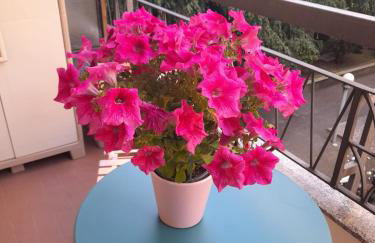 Suite Emotion 716 e sei a casa! - Foto 13