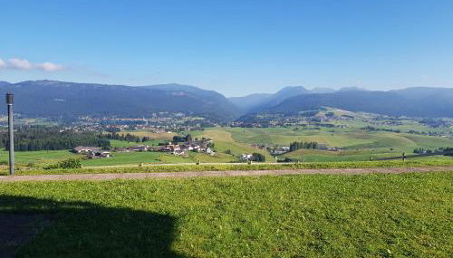 Chalet bellevue - Foto 3, Garden view