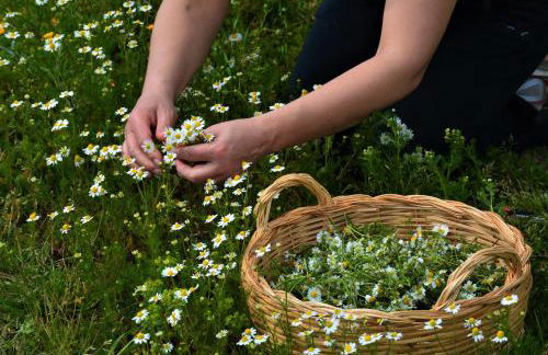 Casale Dionisia, Santa Maria di Castellabate - Foto 72