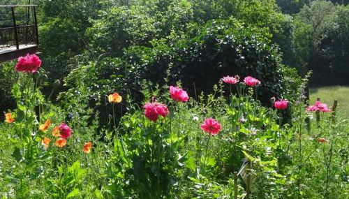 Gîte charmant avec terrasse et wifi au Puy-en-Velay - FR-1-582-331 - Foto 3