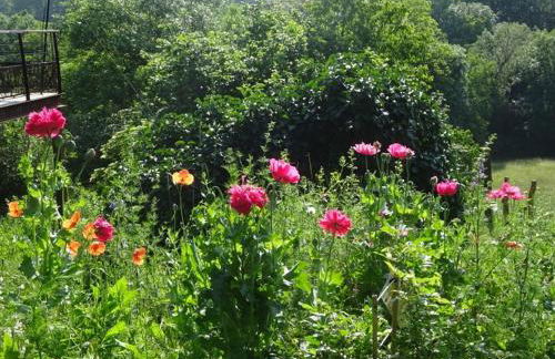 Gîte charmant avec terrasse et wifi au Puy-en-Velay - FR-1-582-331 - Foto 3