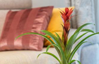 Le Stelia T2 6min gare, 8 min palais et plages, Parking privé - Foto 12