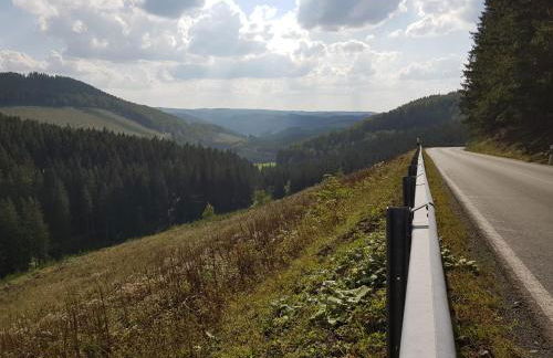 Altastenberger Lodge - Photo 19