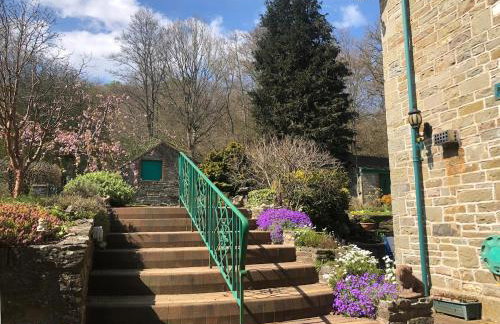 Historic Pike House with Beautiful Garden - Photo 17