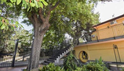 Villa Anna - Foto 4, Garden