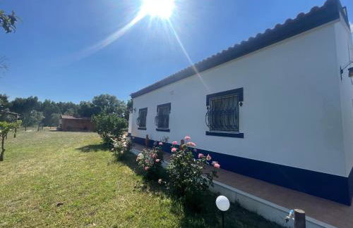 Monte Velho - Country House - Foto 18