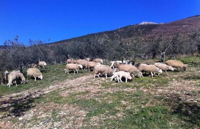 Apartment in Umbria Near Lake Trasimeno - Photo 35