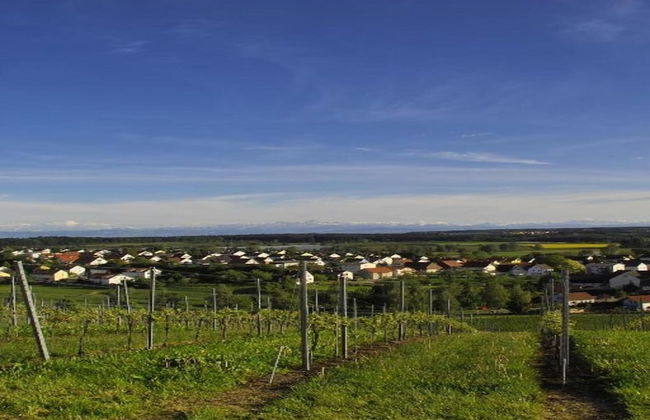 Apartment in Markdorf Near Town Center - Foto 35