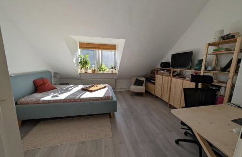 Spacious Apartment - Messewohnung - Foto 7