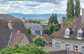 L'Arbre Voyageur - Suite de Luxe au cœur d'Autun - Foto 27