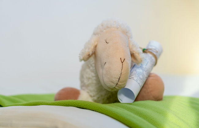 Ein Bett im Norden Nr. 10 - Foto 2