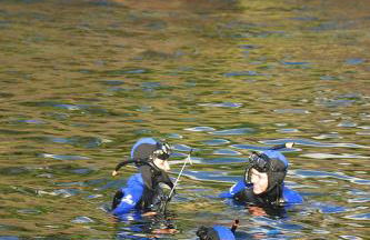 Quinta das Merces - Photo 30