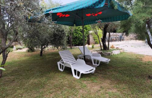 Marti's house in the olive grove - Foto 22