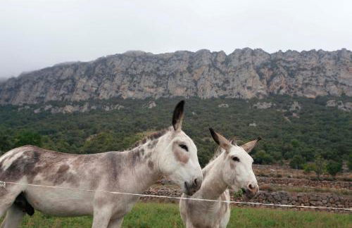 Apartaments Cal Borda - Photo 46