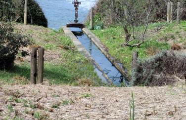 House Pula - Foto 16