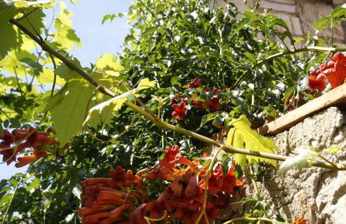 Apartments Solta - Foto 53