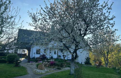 Gemütliche Ferienwohnung im Hunsrück - Foto 12