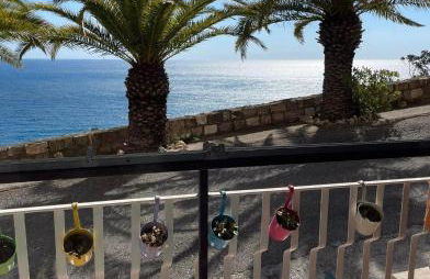 Bellissima Cervo - Foto 10