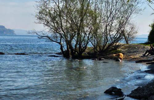 Mid of Nature ' Bella Vista Lago Maggiore charmant mit traumhaften Seeblick, Terrasse und großen Garten - Foto 26