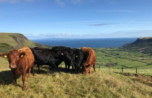 GlenHaven Holiday Accommodation - Foto 49