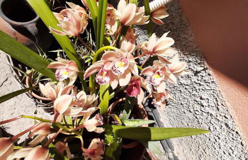 Dal Moro 44 - Foto 20