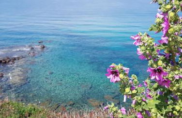 Esclusiva Dimora Storica nel cuore del Borgo Medievale---- Exclusive Historical House inside the Medieval Village - Foto 26